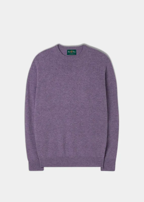 Men's Geelong Lambswool Crew Neck Jumper In Purple Heat - Regular Fit sold by Alan Paine