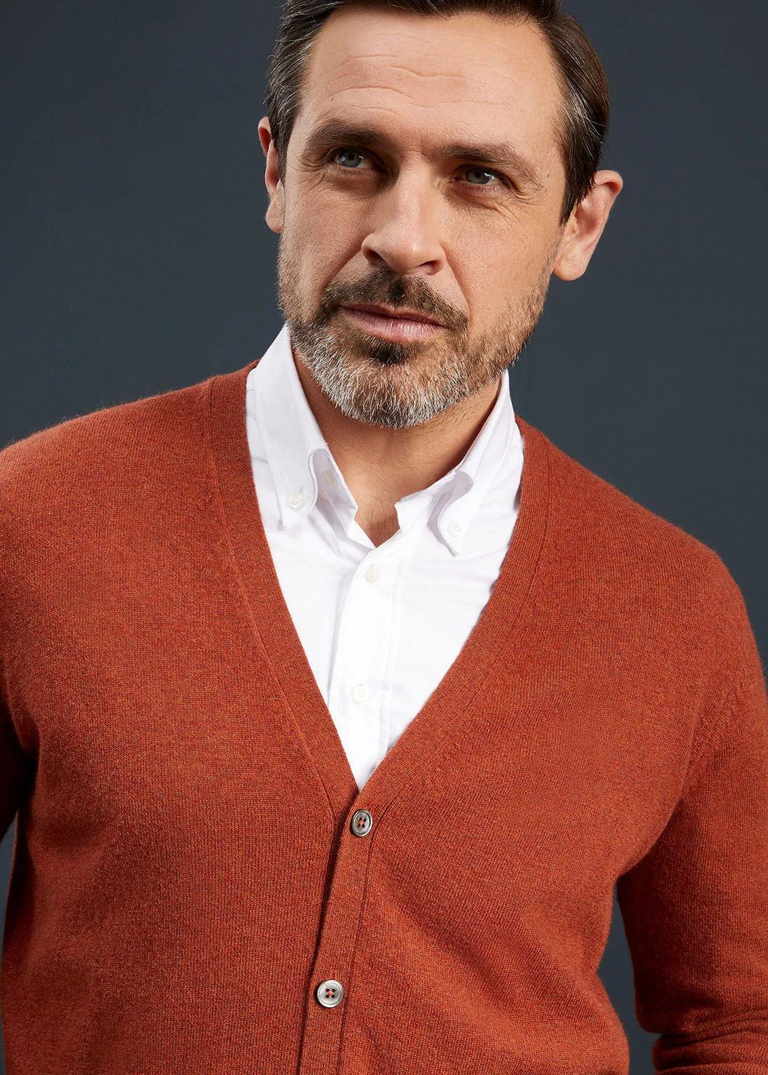 Men's Geelong Lambswool Cardigan in Tiger - Classic Fit sold by Alan Paine product image thumbnail 5