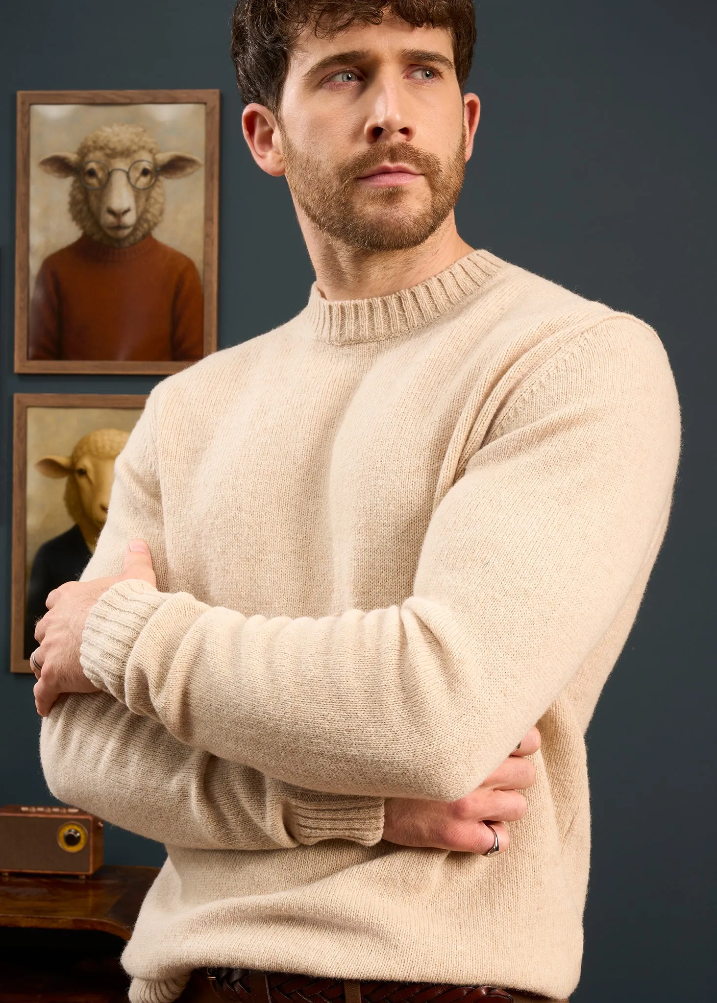 Kinnadie Supersoft Shetland Almond Jumper - Regular Fit sold by Alan Paine product image thumbnail 2