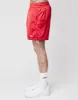 Basic Satin Shorts sold by Live Fast Die Young