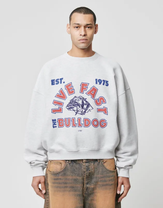 LFDY The Bulldog Sweater sold by Live Fast Die Young