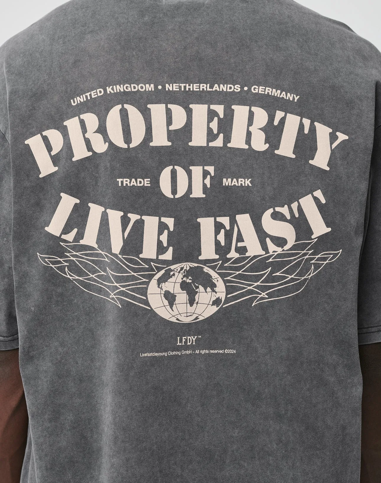 LFDY Property Tee sold by Live Fast Die Young product image thumbnail 3