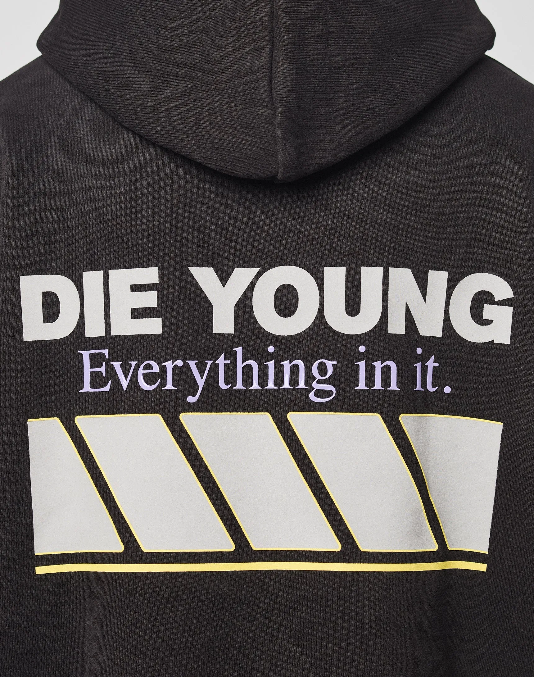 LFDY Racing Hooded sold by Live Fast Die Young product image thumbnail 3
