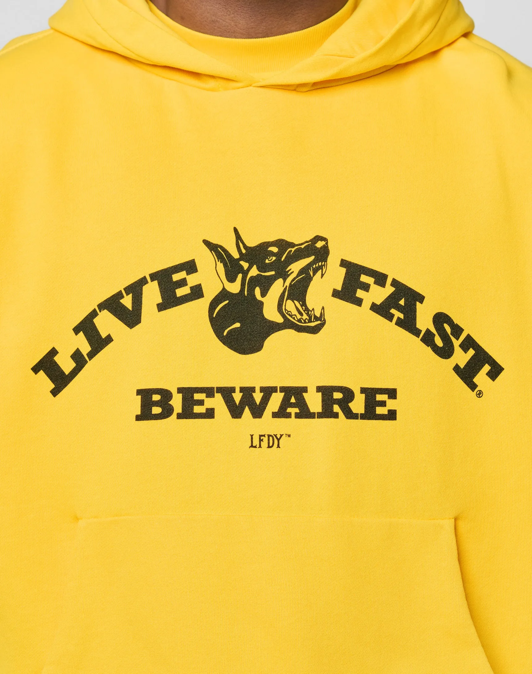 Live Fast Beware Hooded sold by Live Fast Die Young product image thumbnail 2