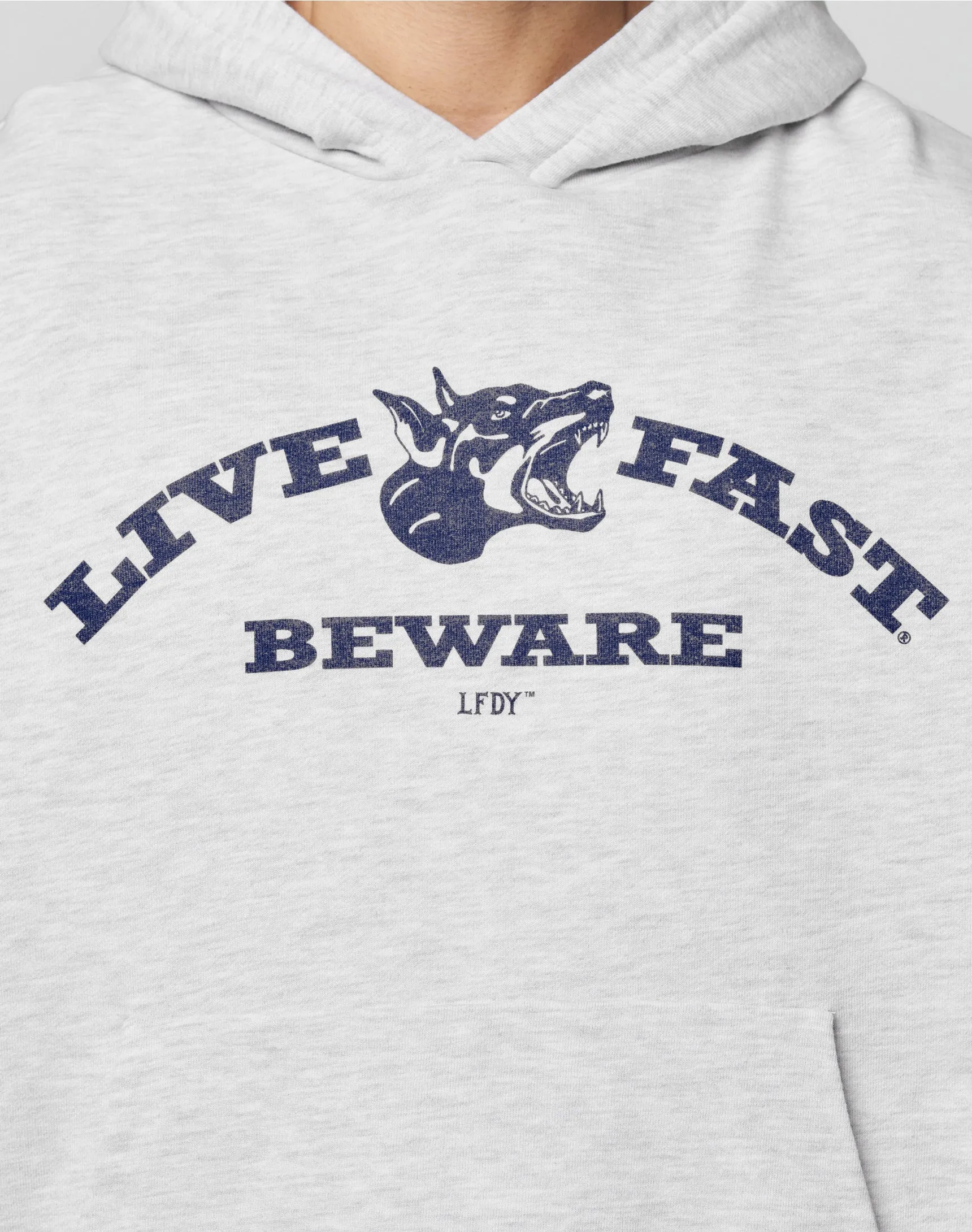 Live Fast Beware Hooded sold by Live Fast Die Young product image thumbnail 2