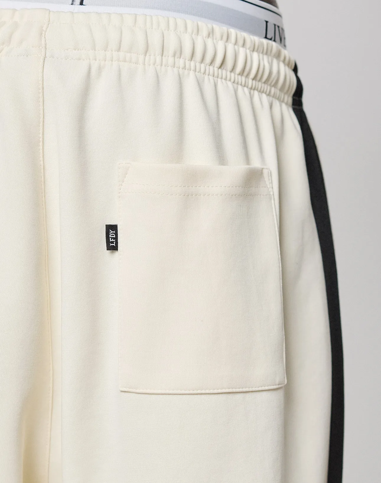 LFDY Striped Jogger sold by Live Fast Die Young product image thumbnail 3