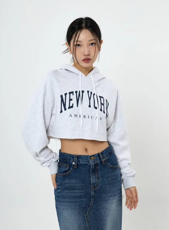 Lettering Crop Hoodie Sweatshirt CS23 sold by Lewkin