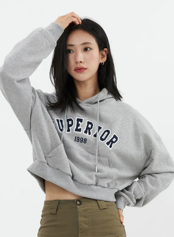 Varsity Cropped Hooded Sweatshirt OS326 sold by Lewkin