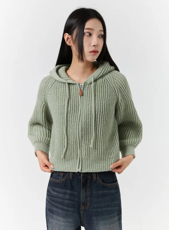 Cozy Hooded Solid Knit Jacket CD322 sold by Lewkin