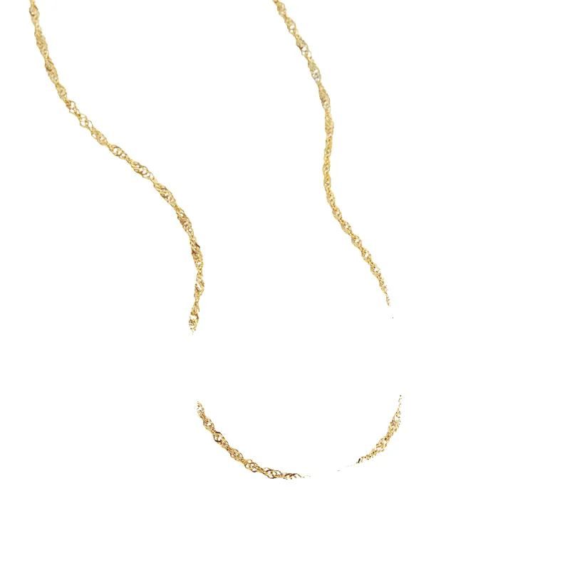 2mm Singapore Twist Chain Necklace sold by Mint & Lilly