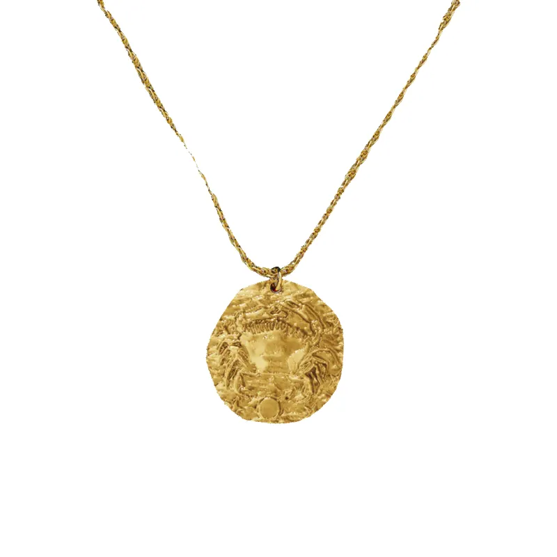 Hammered Gold Zodiac Pendant Necklace sold by Mint & Lilly