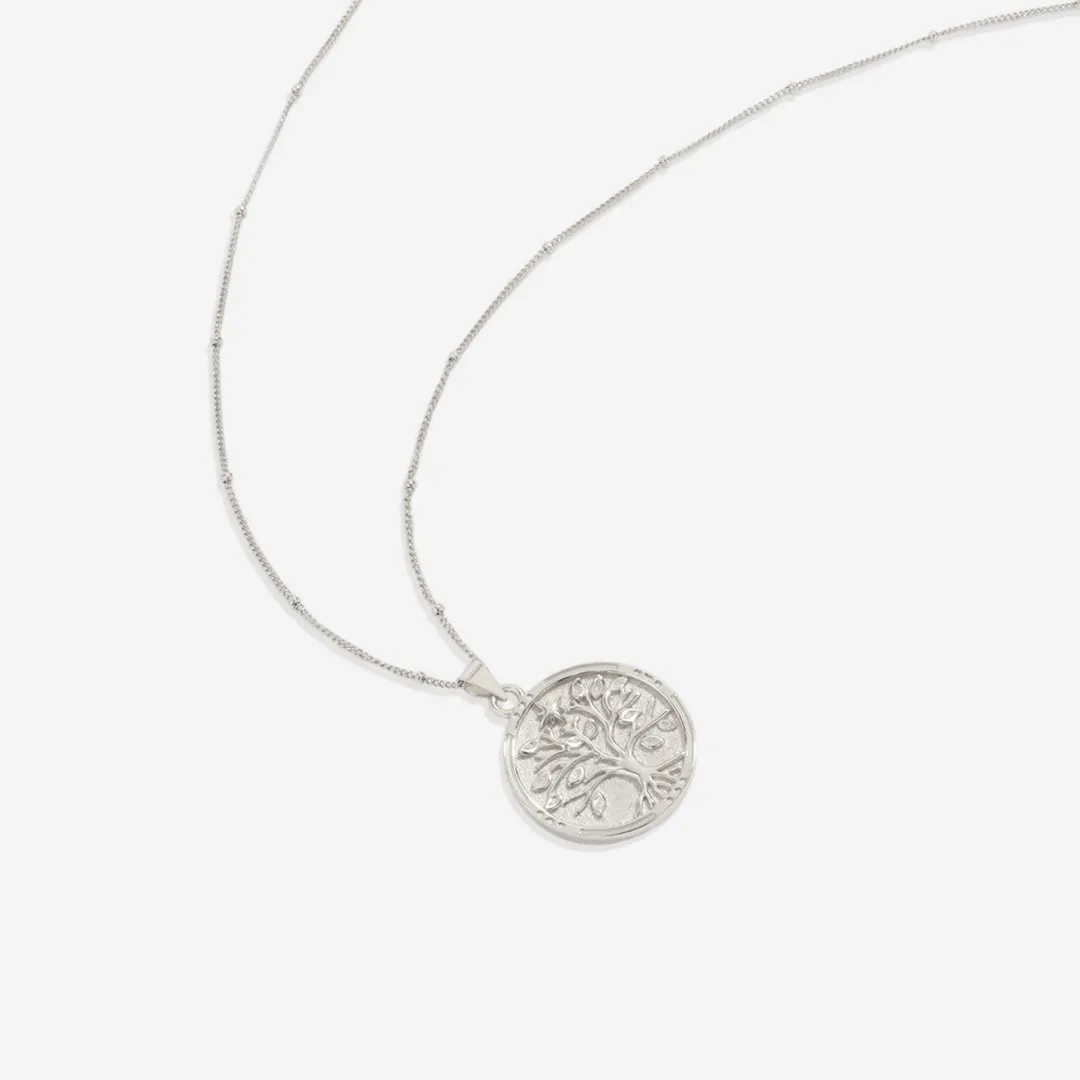 Tree of Life Vermeil Coin Pendant Necklace sold by Mint & Lilly product image thumbnail 4