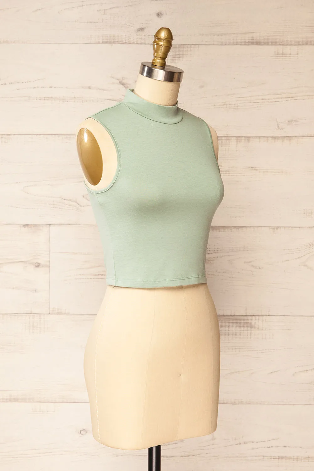 Karachi Sage | Crop Top w/ Mock Neck sold by Boutique 1861 product image thumbnail 3