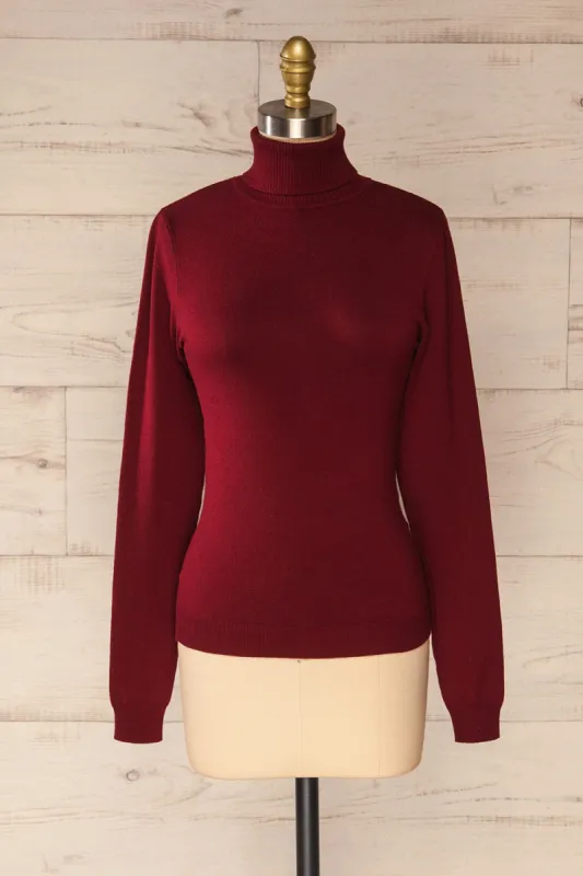 Winschoten | Long Sleeve Turtleneck Top sold by Boutique 1861