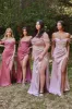 Kesha Mauve | Corset Cowl Neck Maxi Dress sold by Boutique 1861