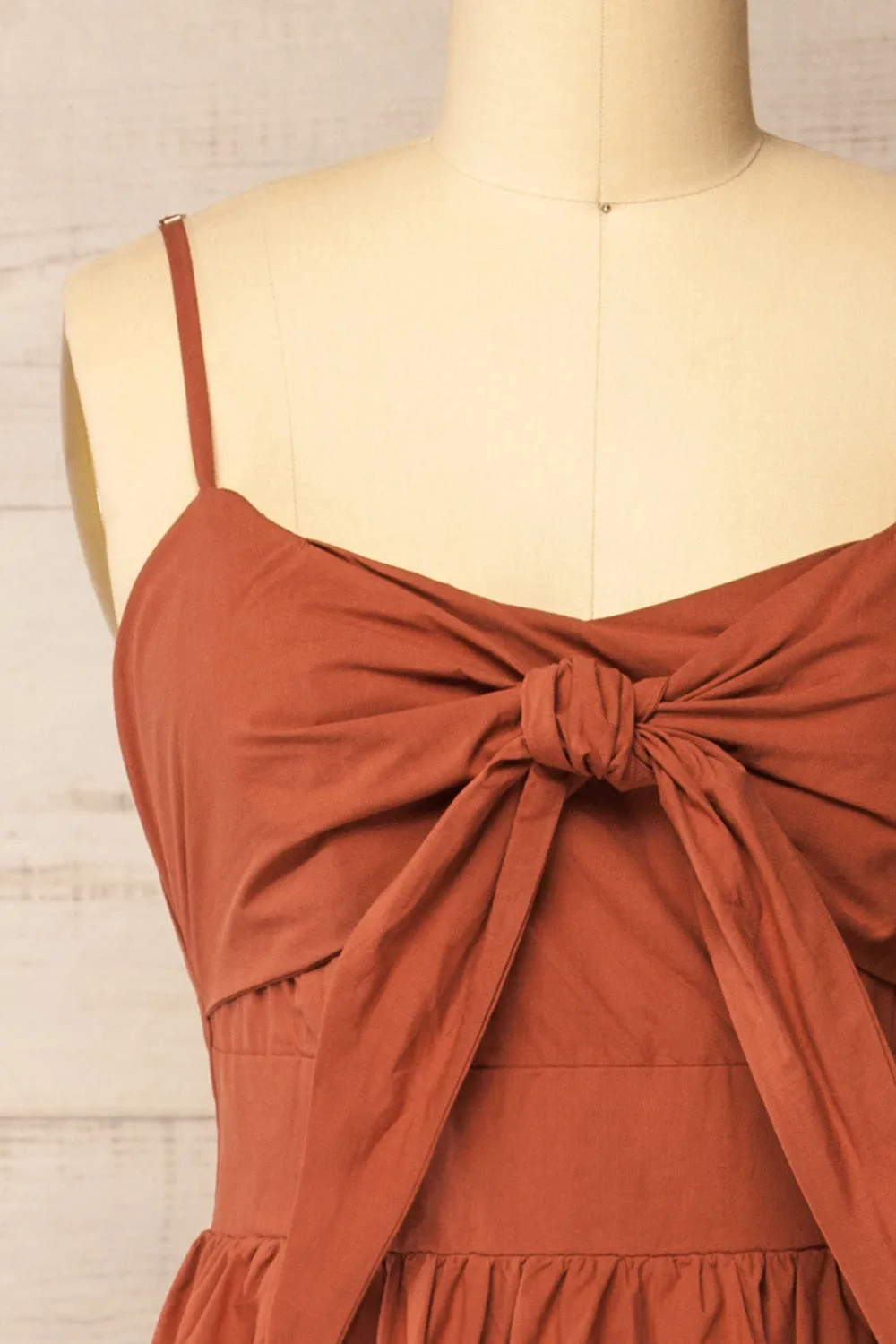 Daloa | Rust Midi Dress with Bow Detailing and Pockets sold by Boutique 1861 product image thumbnail 2
