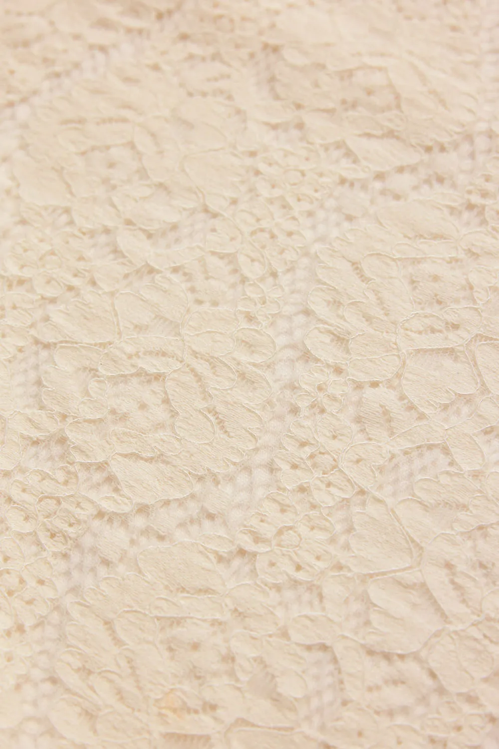 Moruya | Ivory Lace Midi Skirt sold by Boutique 1861 product image thumbnail 5