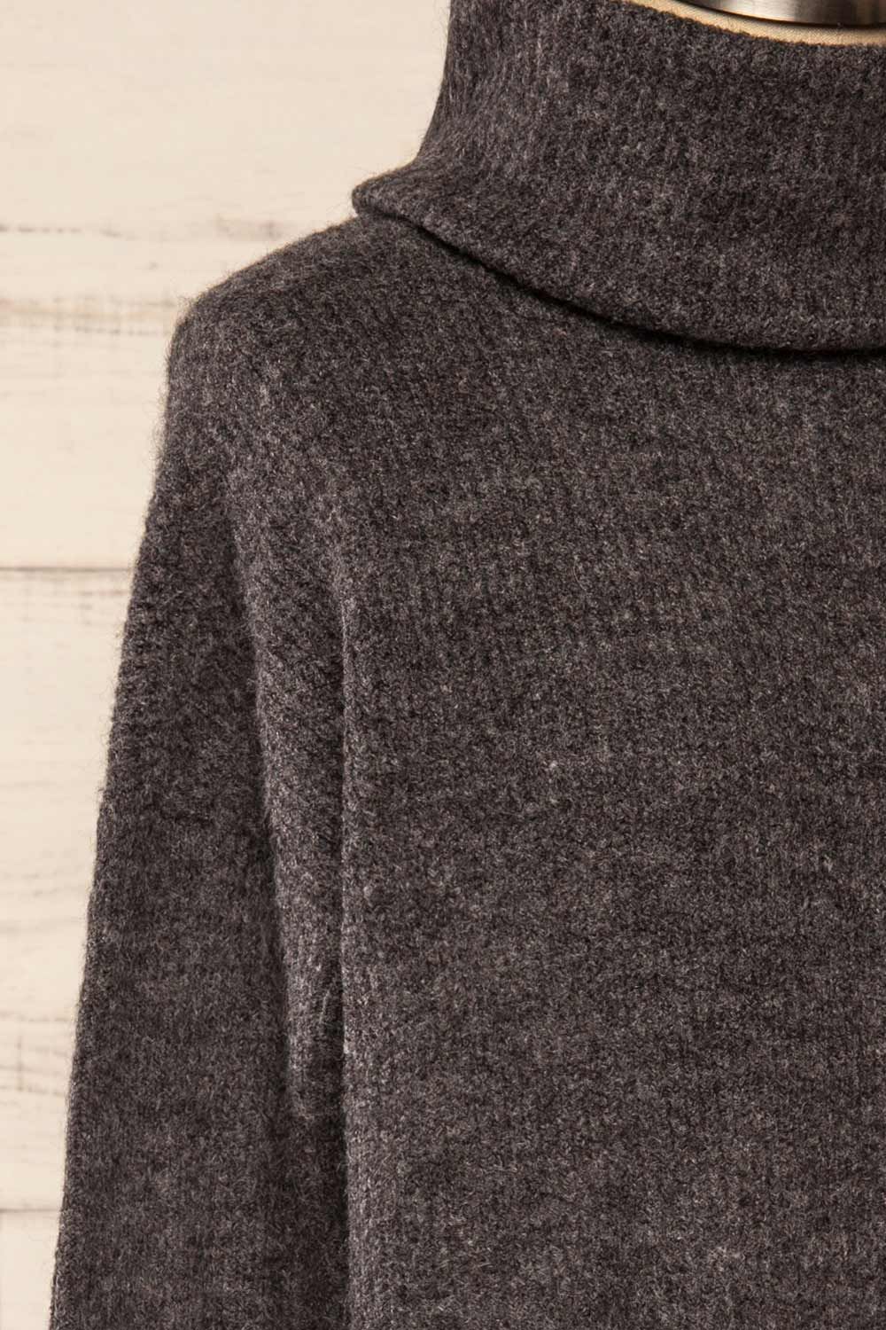 Koror Grey | Knit Turtleneck Sweater Dress sold by Boutique 1861 product image thumbnail 5