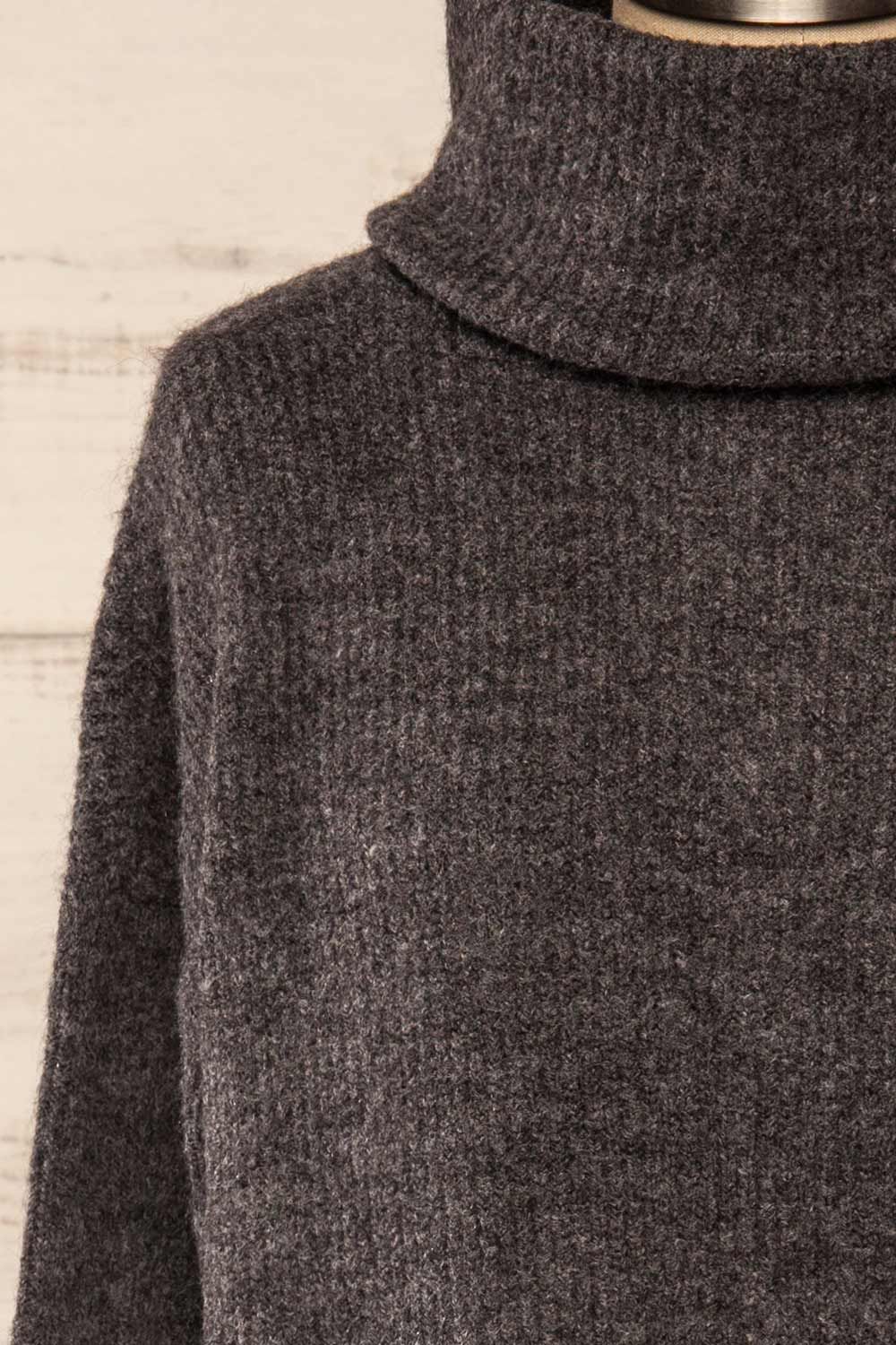 Koror Grey | Knit Turtleneck Sweater Dress sold by Boutique 1861 product image thumbnail 3