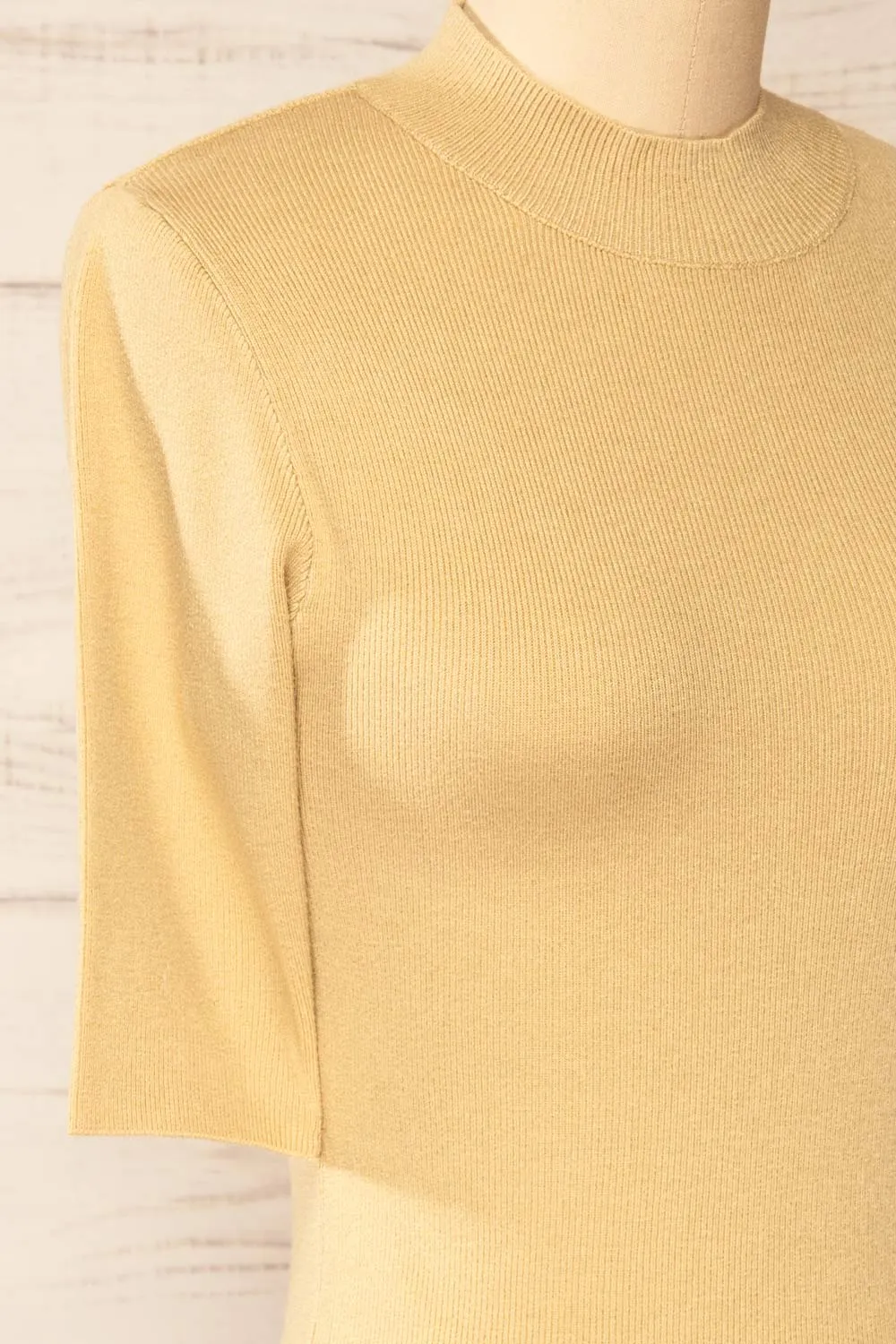 Palermo Beige | Short Sleeve Mock Neck Top sold by Boutique 1861 product image thumbnail 4