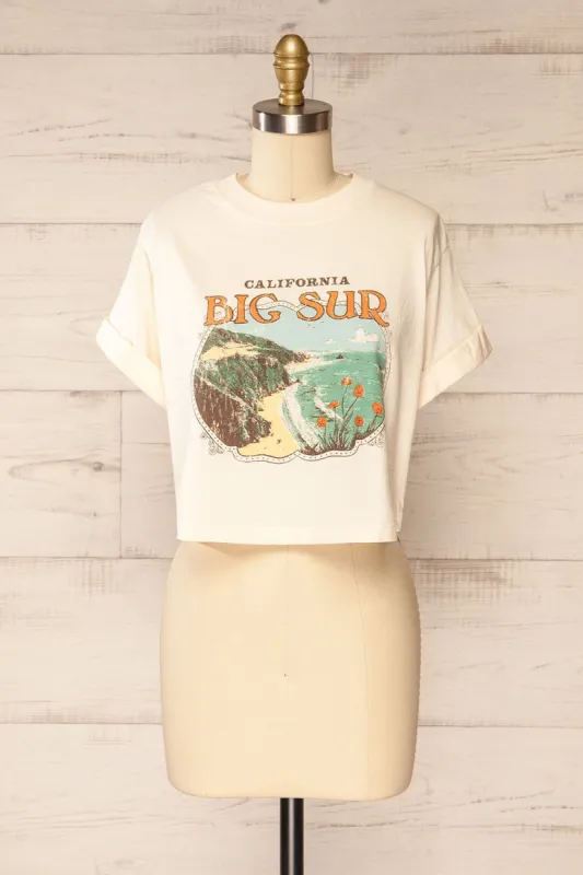 Monterey | Cropped Faded California T-Shirt sold by Boutique 1861