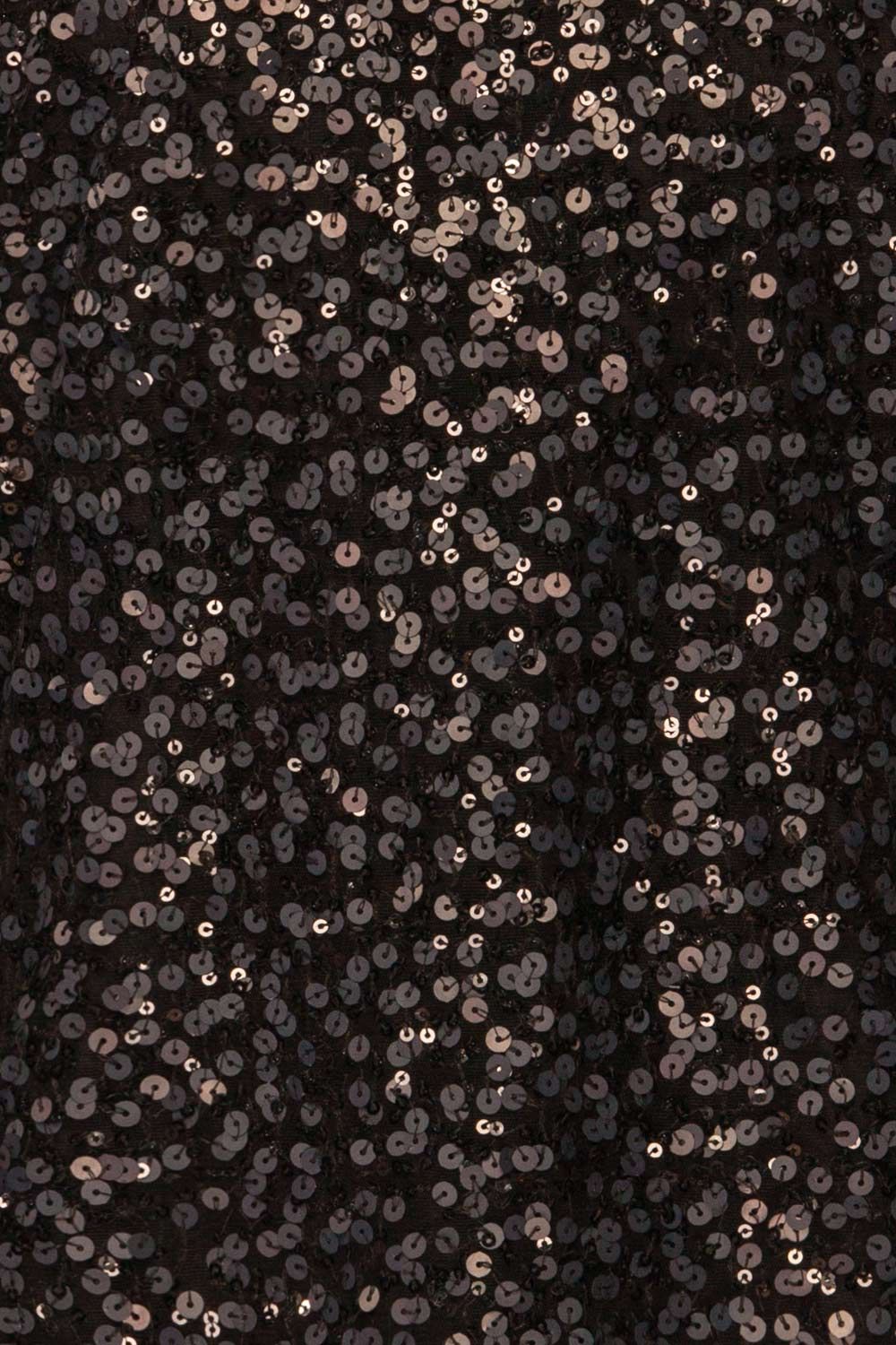 Paredes | Black Sequins Top sold by Boutique 1861 product image thumbnail 2