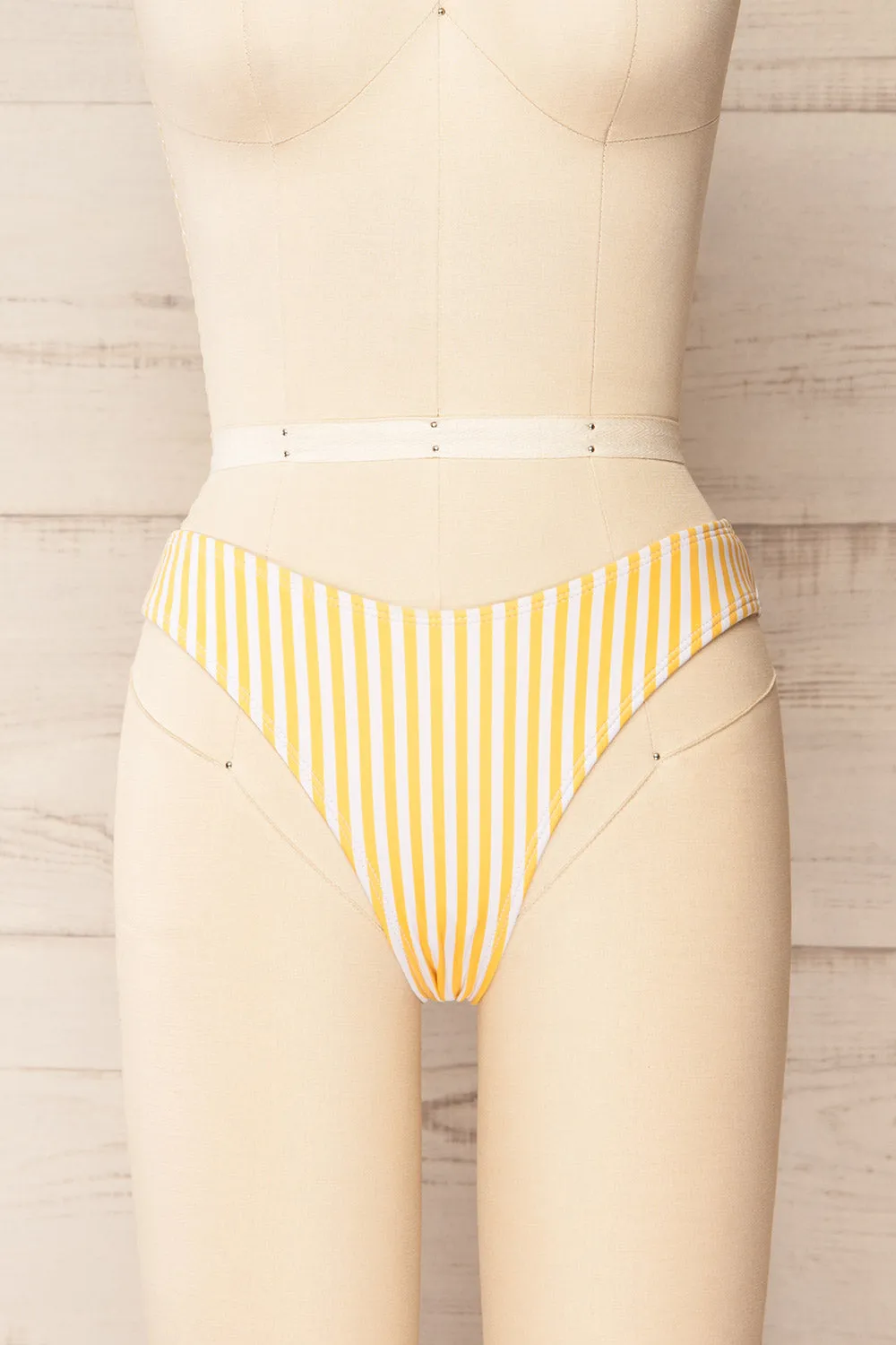 Carora Stripes Yellow | Bikini Bottom sold by Boutique 1861 product image thumbnail 3