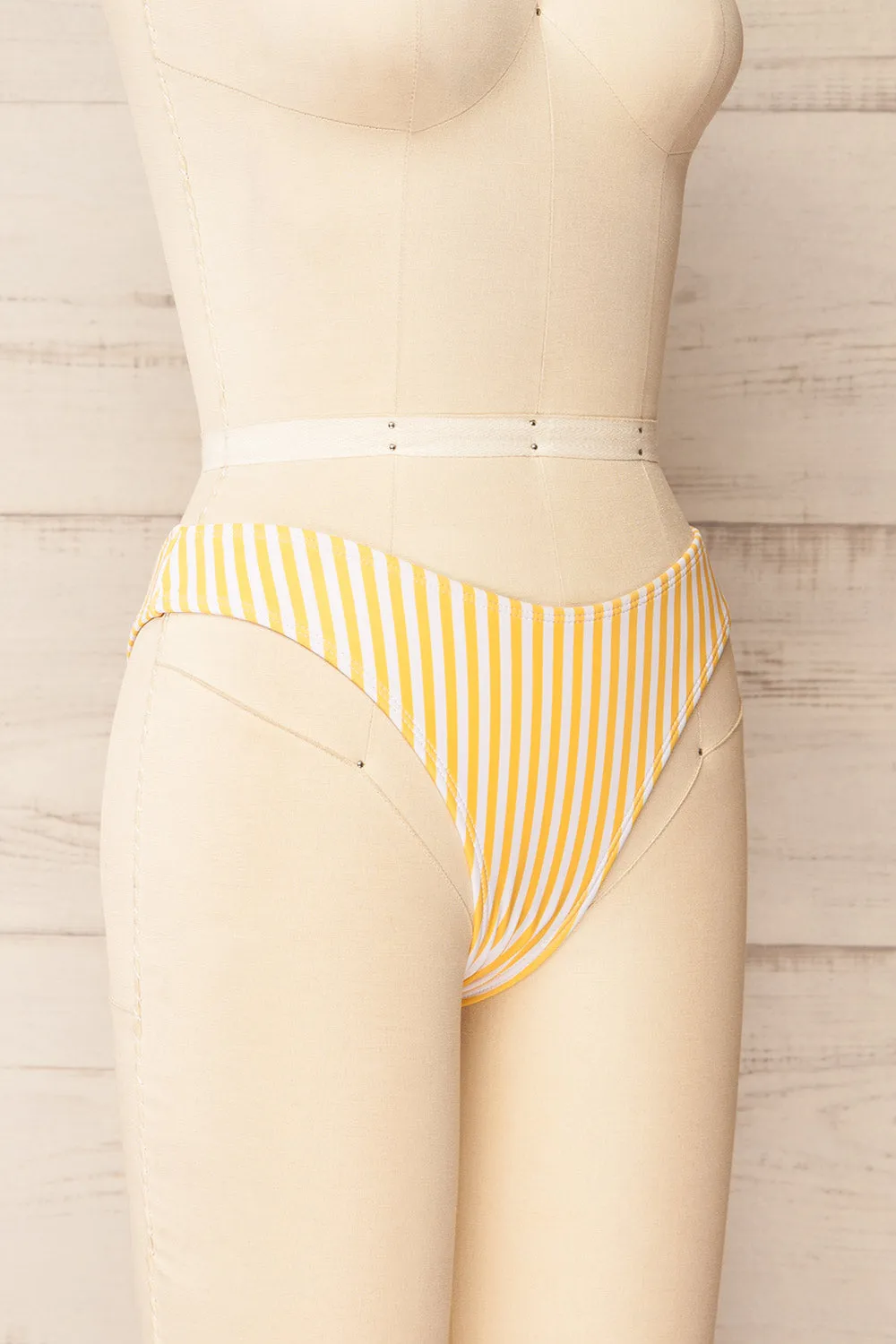 Carora Stripes Yellow | Bikini Bottom sold by Boutique 1861 product image thumbnail 5