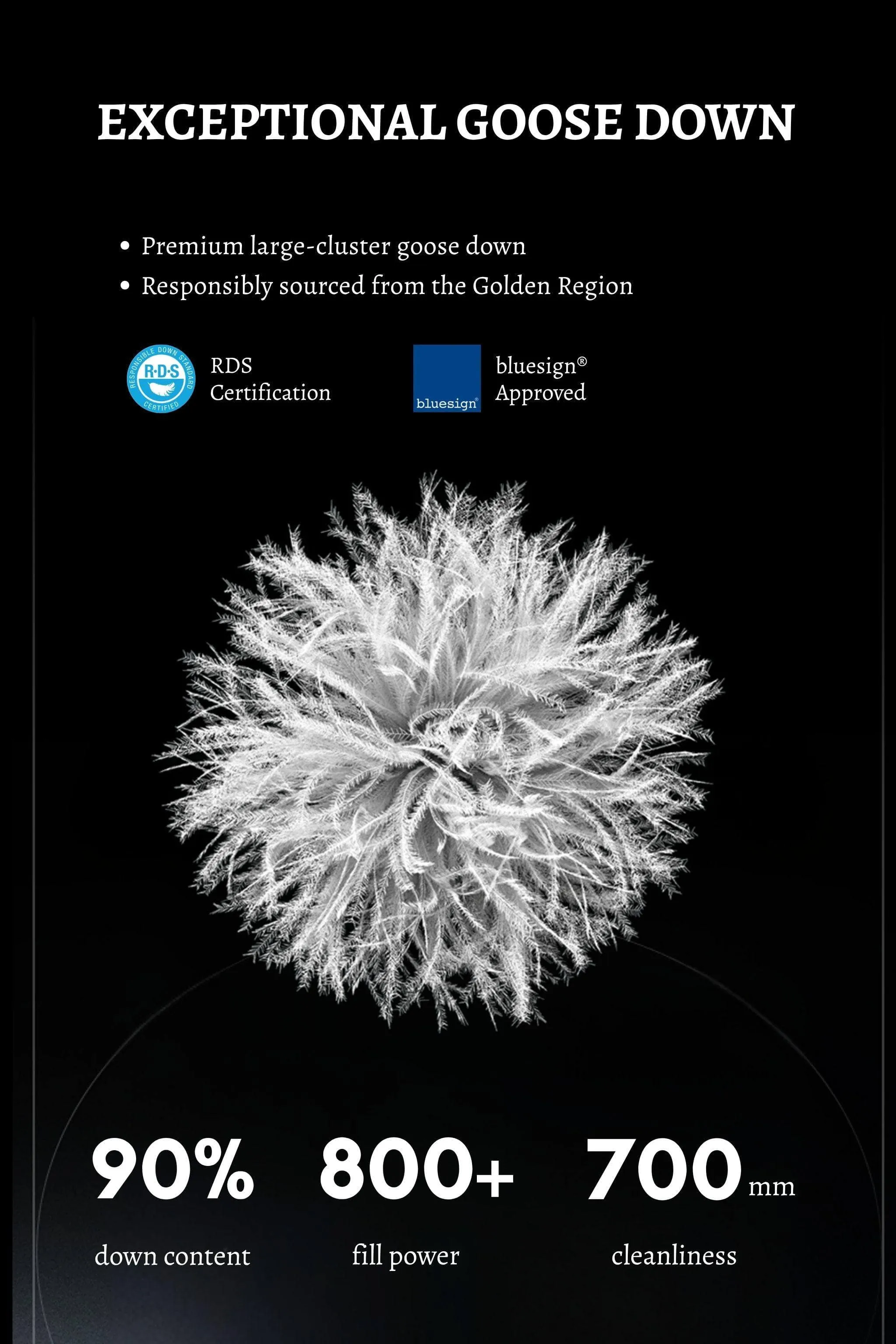 AREAL Men's Stand Collar Goose Down Jacket 901 - B250134901Y sold by Bosideng product image thumbnail 4