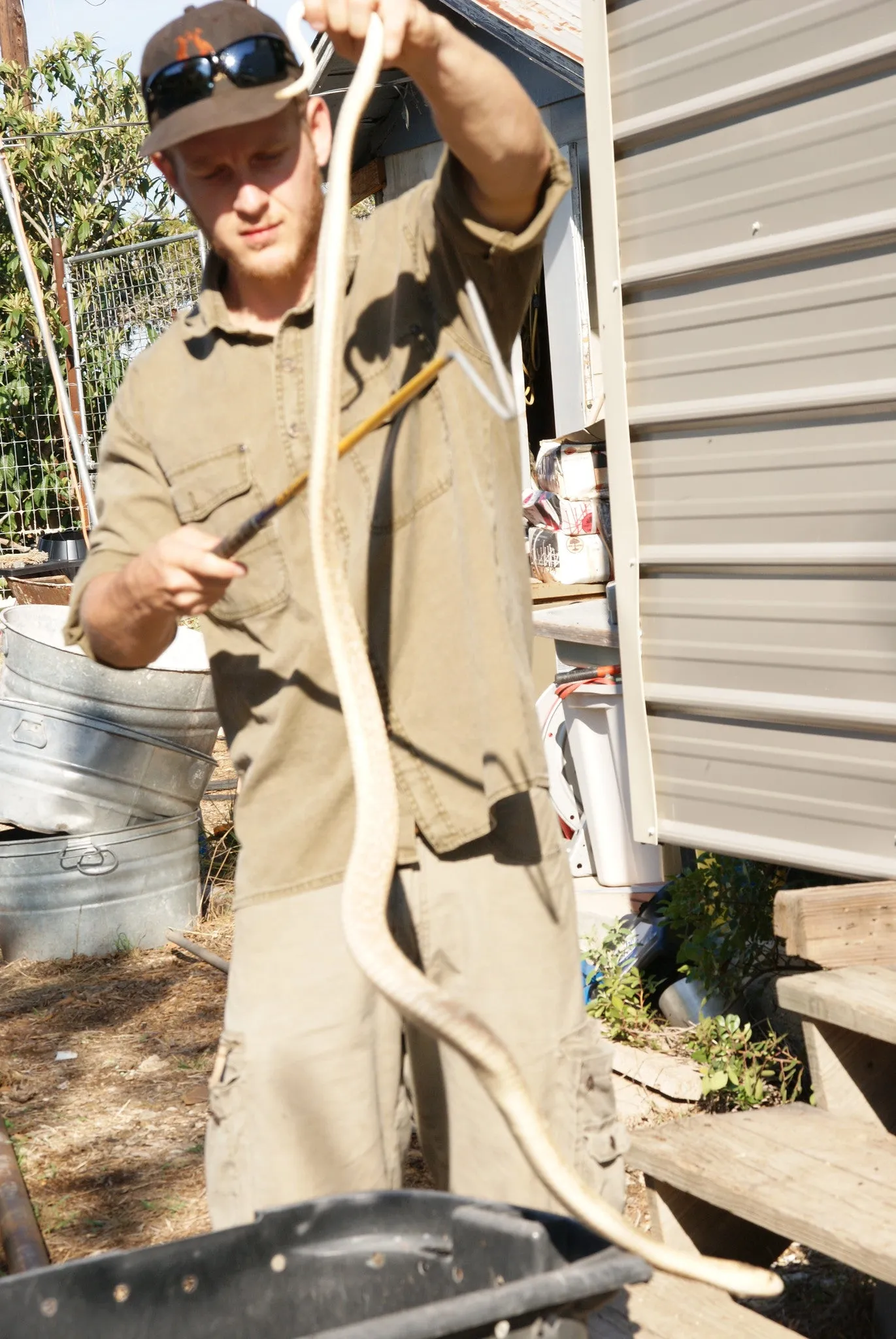 Hand Braided Dorrigo Leather Belt in Bone sold by Kakadu product image thumbnail 2