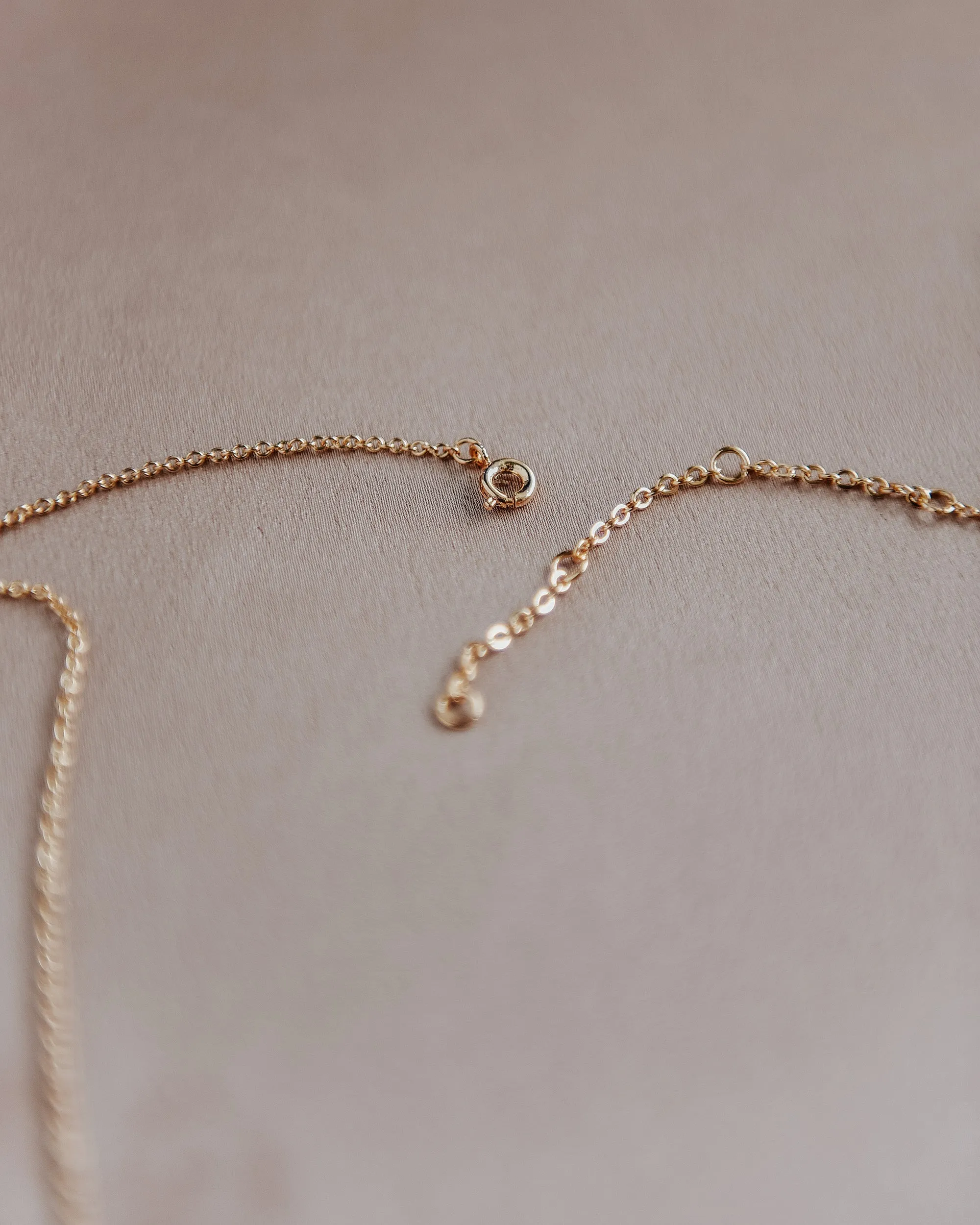 Gemini Zodiac Nameplate Necklace sold by Rock n Rose product image thumbnail 5