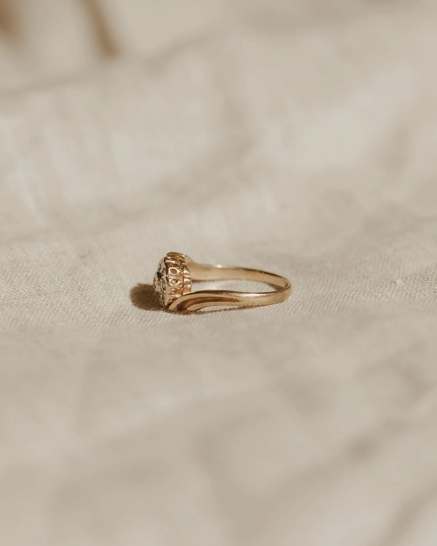 Arie 9ct Gold Nine Diamond Ring sold by Rock n Rose product image thumbnail 5