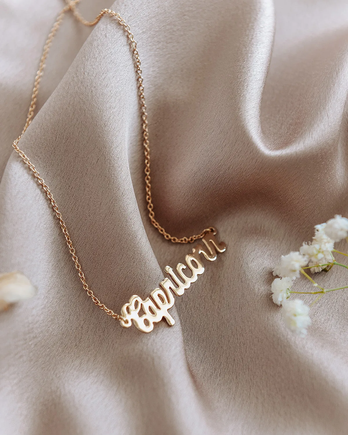 Capricorn Zodiac Nameplate Necklace sold by Rock n Rose product image thumbnail 4