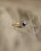 Iris Antique 18ct Gold Sapphire & Diamond Daisy Cluster Ring sold by Rock n Rose
