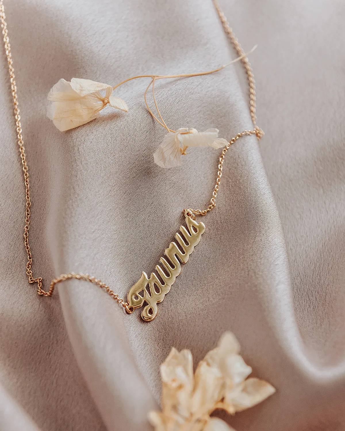 Taurus Zodiac Nameplate Necklace sold by Rock n Rose product image thumbnail 4