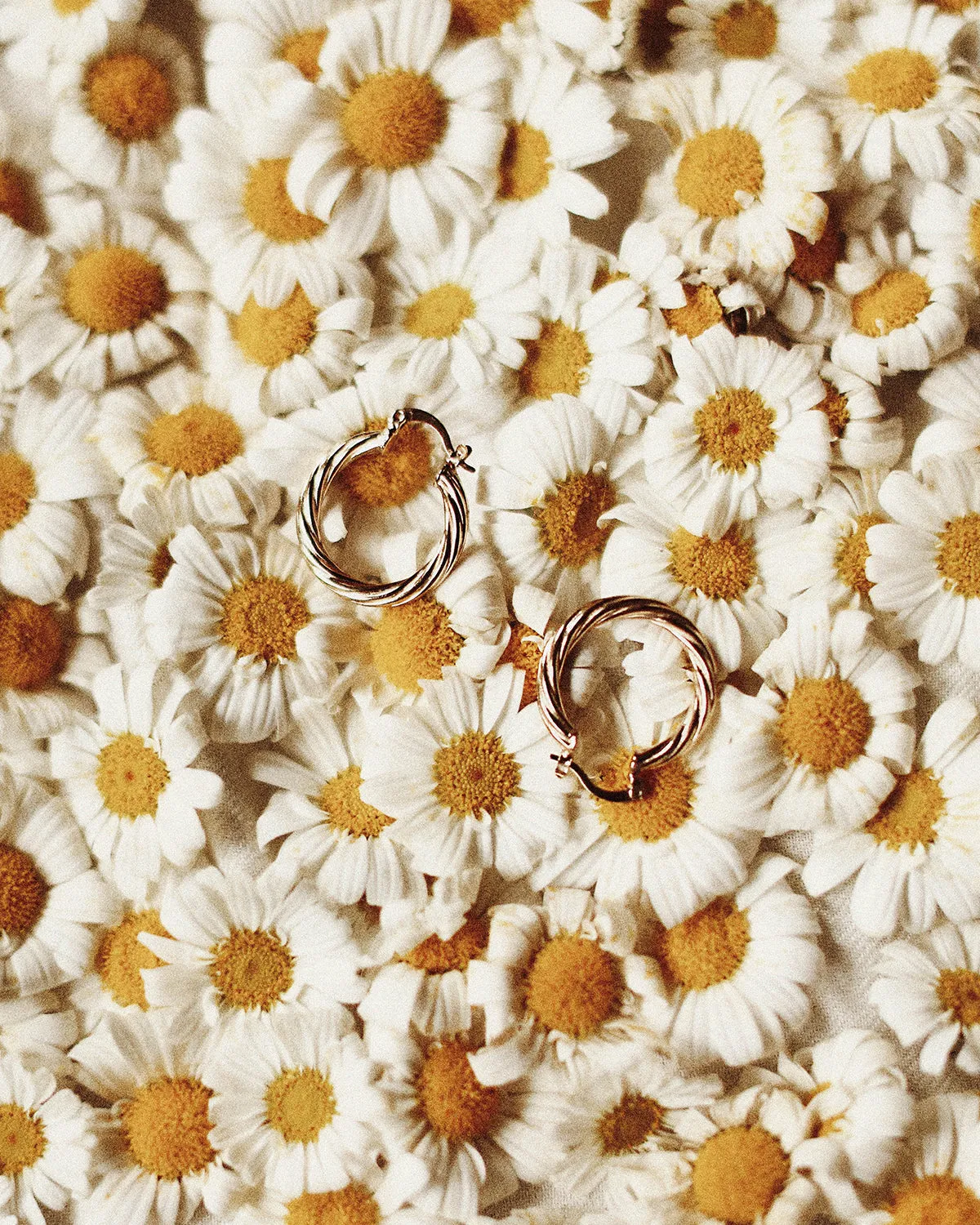 Etta Mini Twisted Hoop Earrings sold by Rock n Rose product image thumbnail 3