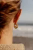 Brass Lucia Hoops sold by Leigh Miller