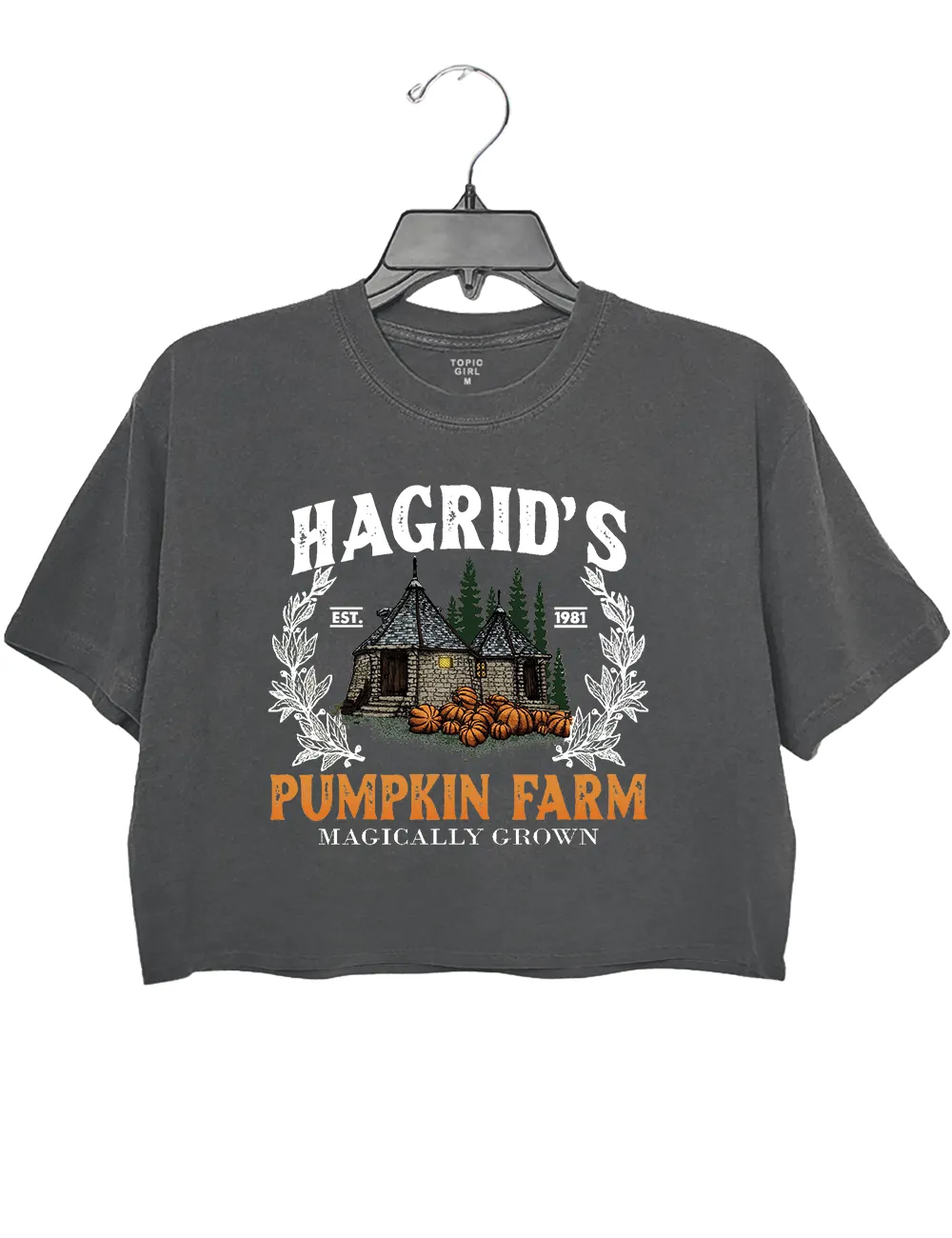 Hagrid's Pumpkin Farm Crop Top sold by Topic Girl product image thumbnail 2
