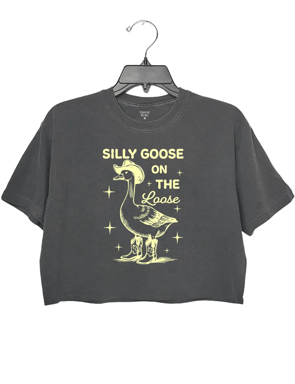 Silly Goose On The Loose Crop Top sold by Topic Girl product image thumbnail 2