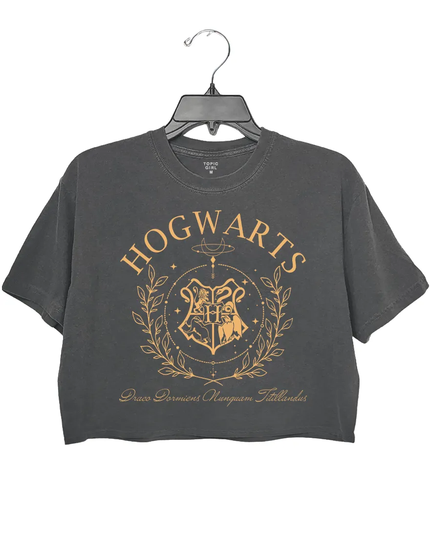 Hogwarts House Crop Top sold by Topic Girl product image thumbnail 5