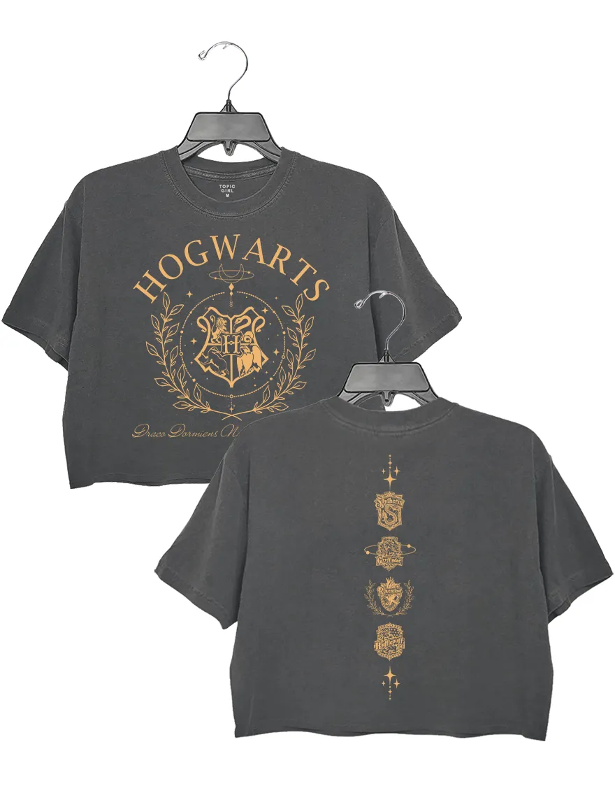Hogwarts House Crop Top sold by Topic Girl product image thumbnail 4