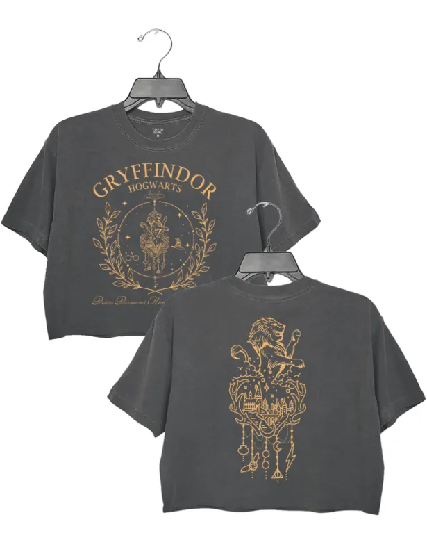 Hogwarts Gryffindor Crop Top sold by Topic Girl