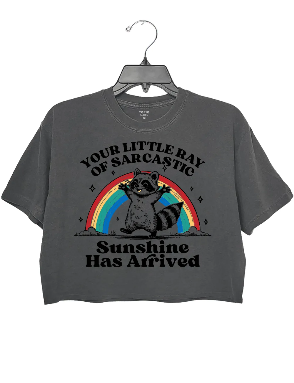 Your Little Ray Of Sarcastic Sunshine Has Arrived sold by Topic Girl product image thumbnail 2