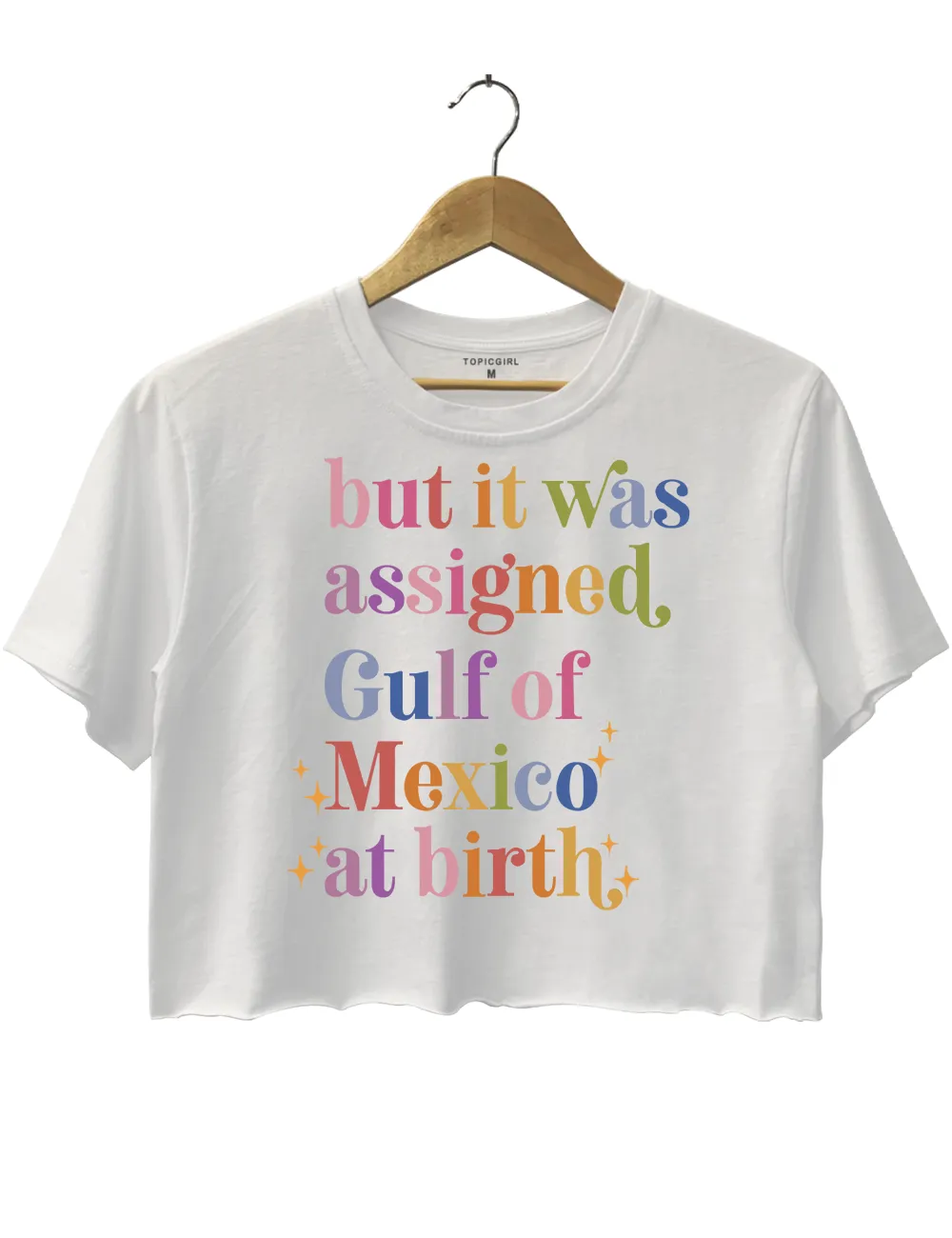 But It Was Assigned Gulf of Mexico at Birth Crop Top sold by Topic Girl product image thumbnail 2