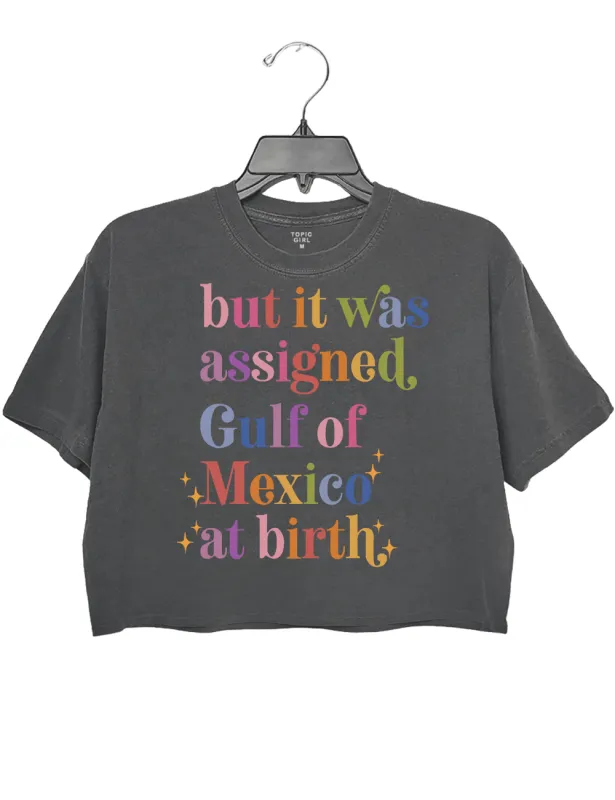 But It Was Assigned Gulf of Mexico at Birth Crop Top sold by Topic Girl