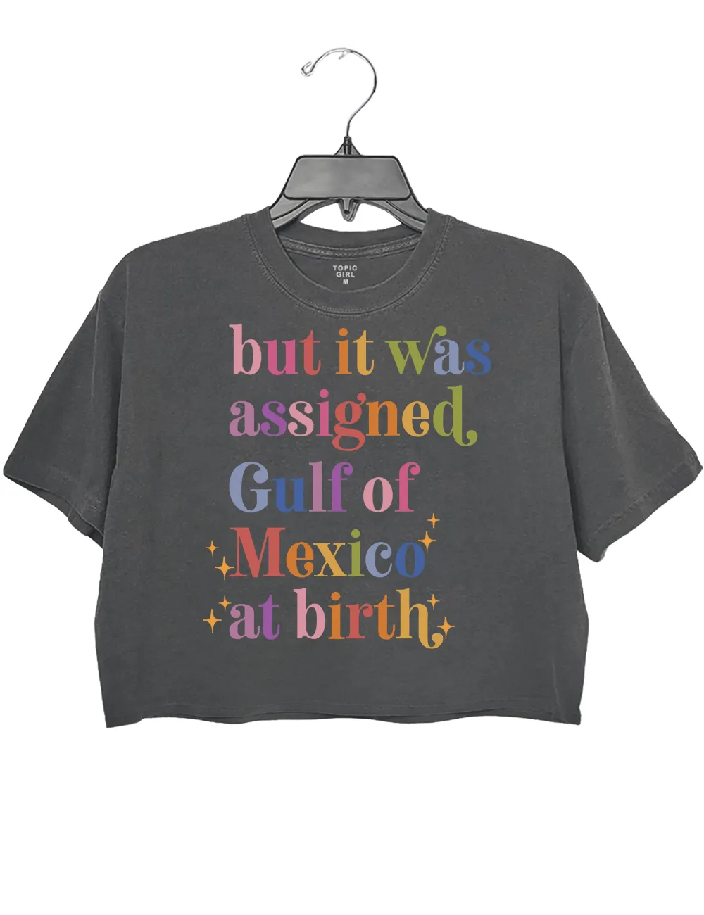 But It Was Assigned Gulf of Mexico at Birth Crop Top sold by Topic Girl