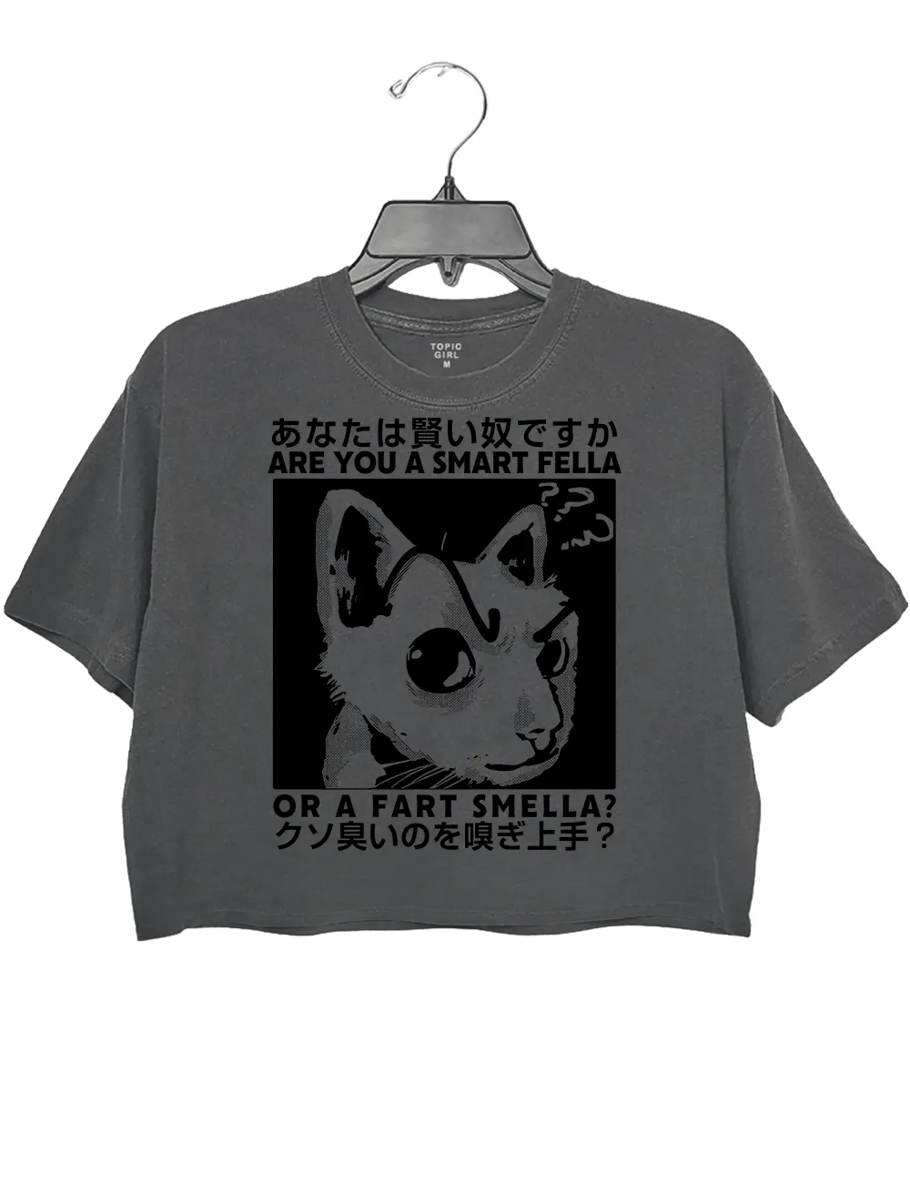 Anime Are You A Smart Fella Or A Fart Smella Crop Top sold by Topic Girl