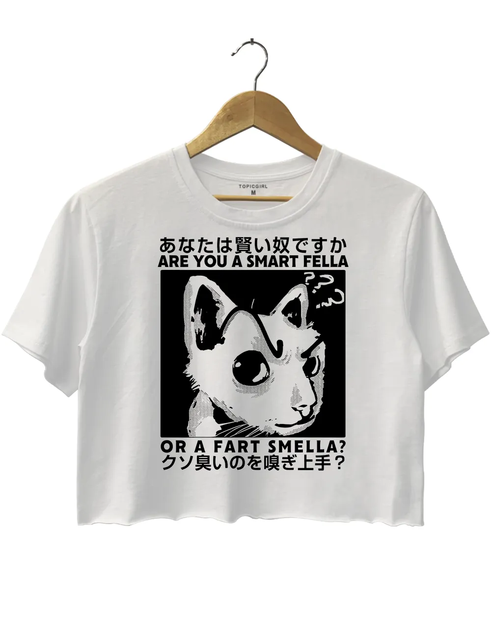 Anime Are You A Smart Fella Or A Fart Smella Crop Top sold by Topic Girl product image thumbnail 2