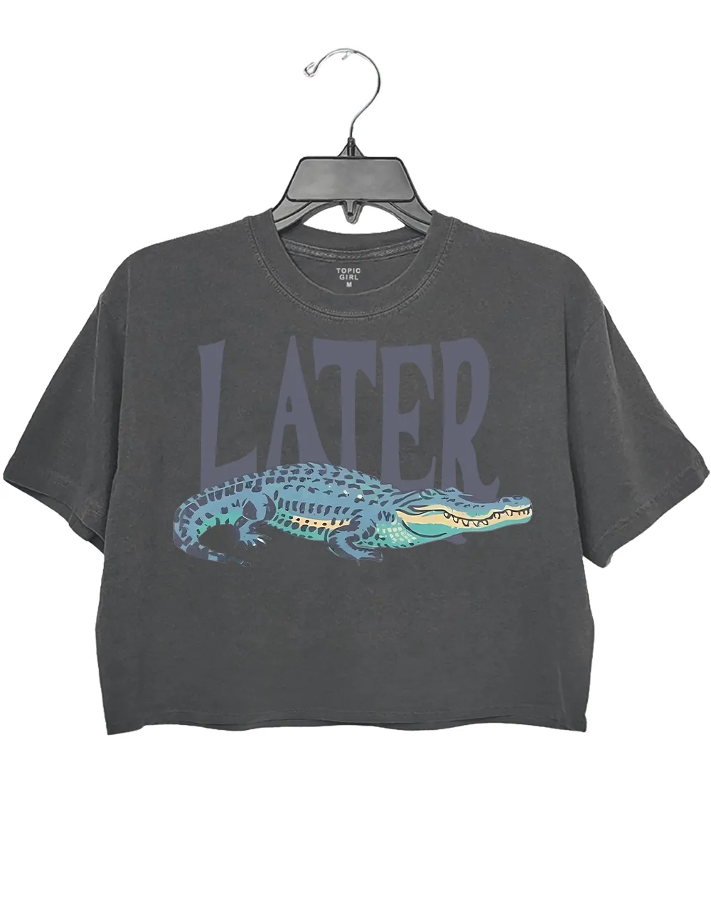 Later Gator Vintage 90s Y2K Crop Top sold by Topic Girl product image thumbnail 2