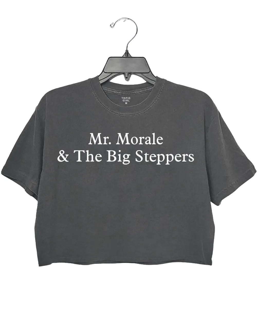 Kendriok Lamar Mir Morale The Big Steppers Crop Top sold by Topic Girl product image thumbnail 5